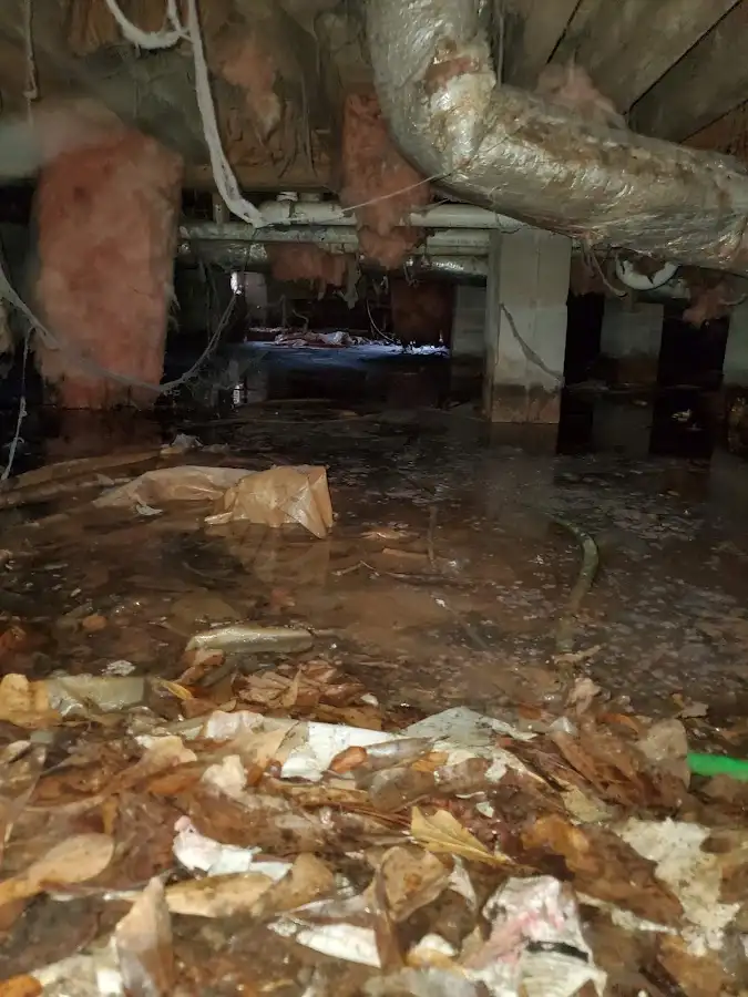 Crawl space flood assessment for Commercial Water Damage Restoration in West Livingston
