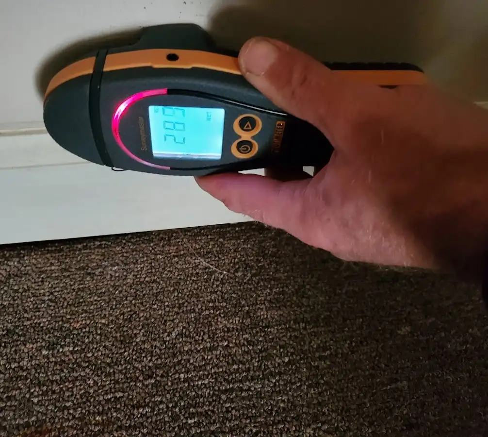 Moisture detection at baseboard during Burst Pipe Cleanup in West Livingston